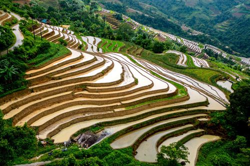 Ruộng bậc thang Khuổi My vào mùa nước đổ