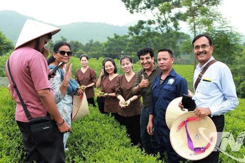 Kết nối để bay xa