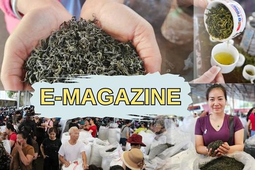 Tinh hoa chợ chè Thái Nguyên