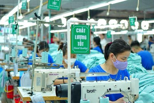 Dệt may TNG: Doanh thu 6 tháng đầu năm cao kỷ lục, mở rộng thị trường xuất khẩu