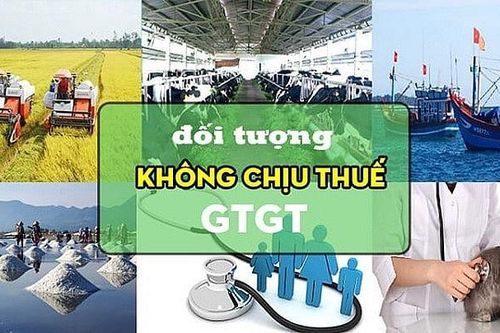 Chính phủ quy định 16 đối tượng không chịu thuế theo Luật Thuế giá trị gia tăng