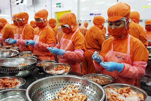 6 tháng đầu năm, xuất khẩu nông lâm thủy sản tăng 15,5%, giao thương với Mỹ tăng mạnh