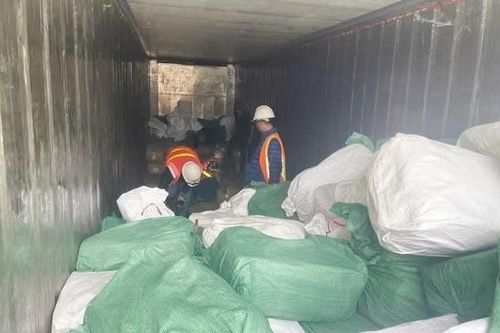 Hải quan khởi tố vụ án trốn thuế 7 tỷ đồng