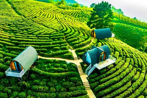 Cao Bằng - điểm đến lý tưởng trong mùa du lịch hè