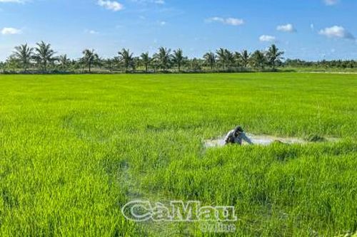Chủ động thích ứng trước thiên tai ngày càng cực đoan