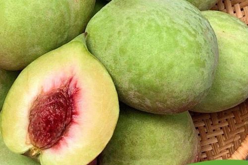 'Kẻ thù truyền kiếp' của quả đào: Tuyệt đối không ăn cùng nhau kẻo rước bệnh vào người, nhiều người không biết