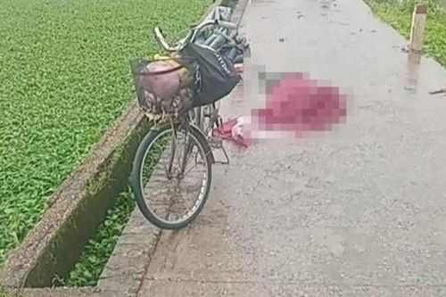 Người phụ nữ bị sét đánh tử vong khi đi qua cánh đồng ở Hà Nội