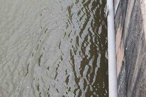 Ô tô lao xuống sông, bốn người thoát chết