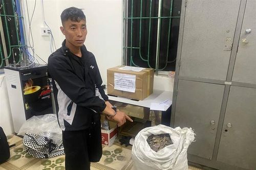Bắt giữ đối tượng vận chuyển vảy tê tê cùng ma túy