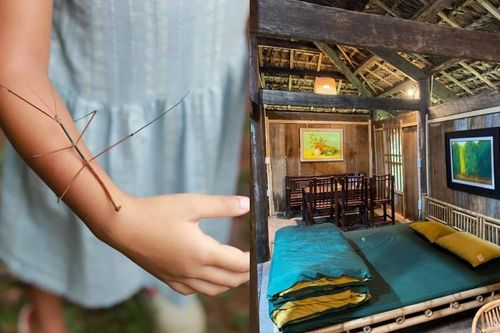 Trại hè Làng Háo Hức bị tố vệ sinh kém, có trẻ bị bắt nạt, phụ huynh và đơn vị tổ chức nói gì?