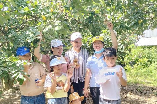 Về Hiệp Thành mùa nhãn chín