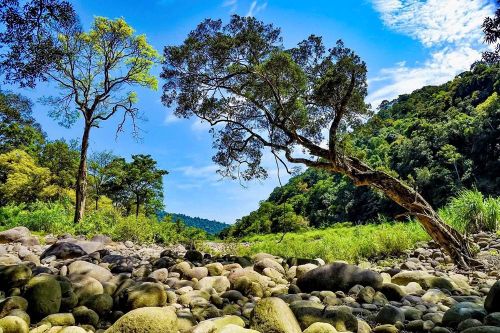 Biến 'kho báu xanh' Vườn quốc gia Vũ Quang thành điểm đến sinh thái tầm cỡ