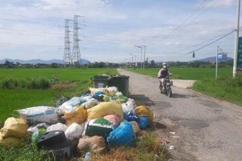 Tập kết rác... bên đường!