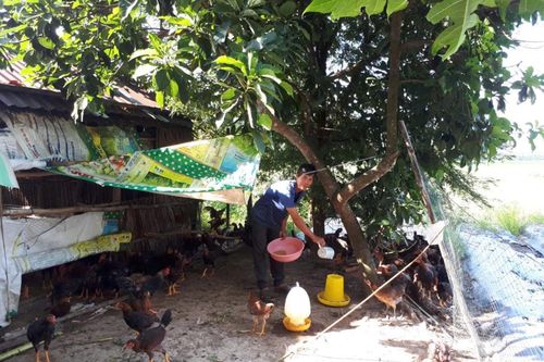 Đa dạng các biện pháp giúp đồng bào dân tộc thiểu số giảm nghèo bền vững
