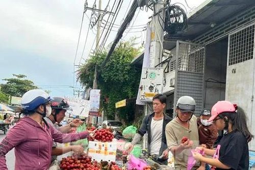 Vải thiều đại hạ giá tại TPHCM