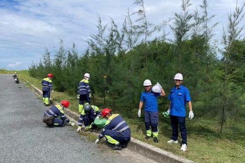 Chi đoàn Nhà máy Nhiệt điện Sông Hậu 1 (PVPGB) ra quân vệ sinh môi trường