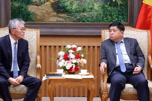 Thúc đẩy hợp tác với Nhật Bản phát triển điện sinh khối tại Việt Nam