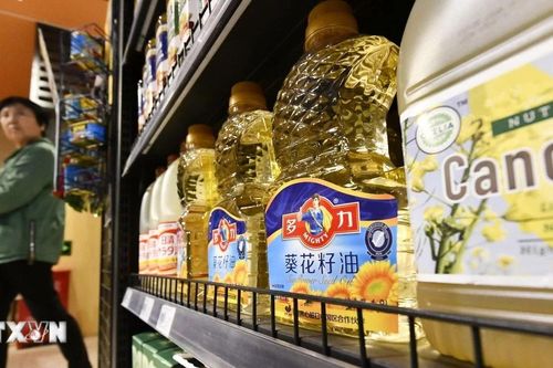 FAO: Giá lương thực thế giới tăng nhẹ trong tháng 6