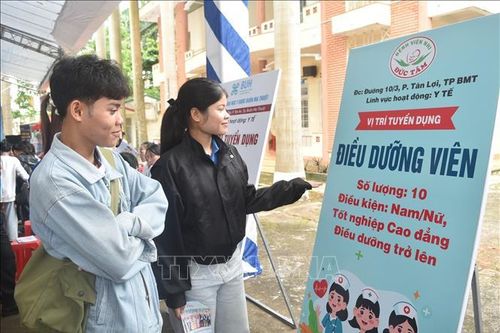 Kết nối sinh viên với thị trường lao động