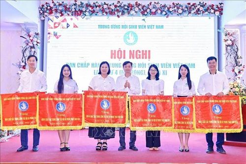 Phát huy vai trò của sinh viên trong chuyển đổi số và phát triển đất nước
