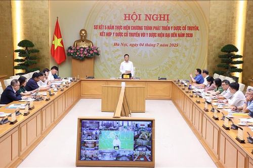 Nâng cao vai trò của y học cổ truyền trong chăm sóc sức khỏe