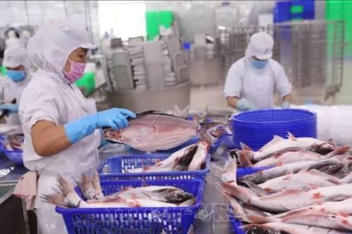 Việt Nam - Brazil: Nhiều dư địa hợp tác kinh tế thương mại