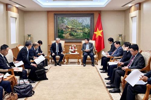 Phó Thủ tướng đề nghị Tập đoàn Erex mở rộng đầu tư điện sinh khối tại Việt Nam