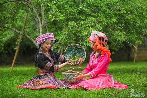 Phối hợp trong phát triển du lịch nông nghiệp
