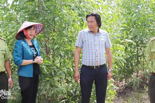 Chung tay giữ gìn 'lá phổi xanh'