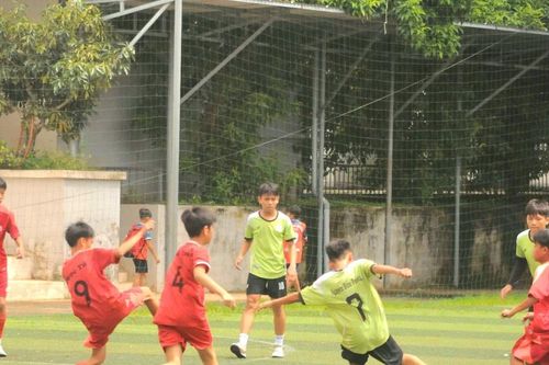 8 đội bóng tranh tài Giải bóng đá S7 Trung tâm bóng đá cộng đồng U13 Nutricare Gia Lai Cup 2025
