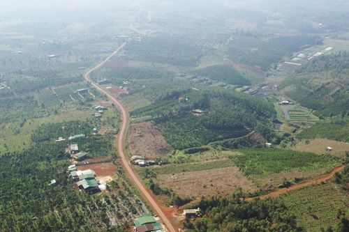 Lâm Đồng đầu tư dự án bò sữa hơn 8.000 tỷ đồng