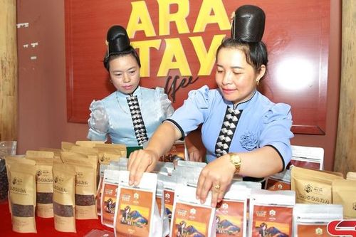 Xây dựng thương hiệu cà phê Arabica Sơn La