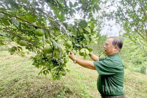 Làm hết sức, cống hiến hết mình