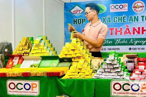 Gắn công nghệ với sản xuất chè an toàn