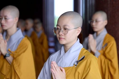 Mùa an cư - dừng lại để thăng hoa đạo nghiệp
