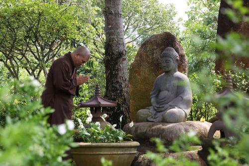 Cảnh giới tự do