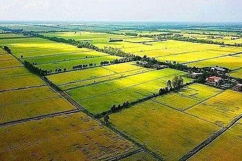 Người dân phải nộp phí rất cao khi chuyển mục đích sử dụng đất, Bộ Nông nghiệp nói gì?