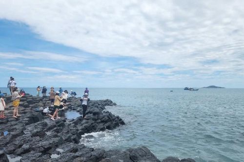 Kết nối biển xanh với đại ngàn