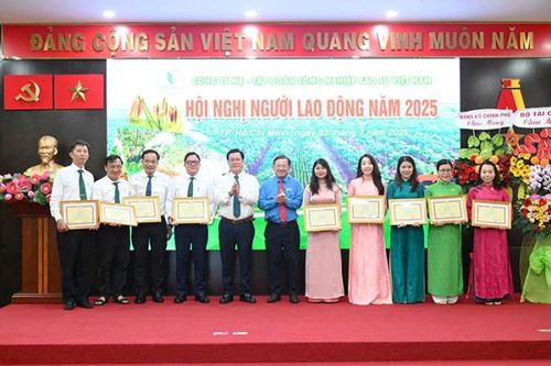 VRG đẩy mạnh phát triển toàn diện