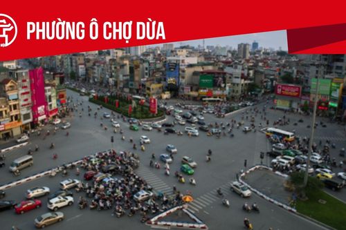 Phường Ô Chợ Dừa: Tất cả thông tin chỉ dẫn bạn cần biết