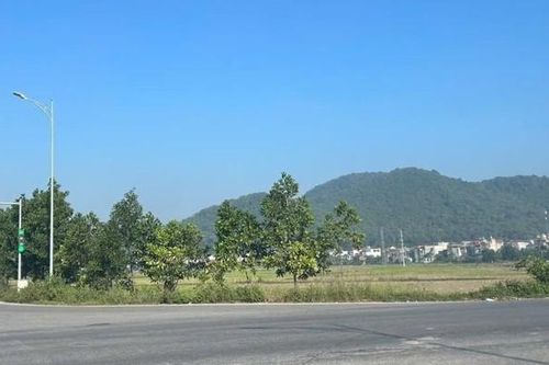 Dự án đường sắt tốc độ cao qua bao nhiêu xã, phường của Thanh Hóa?