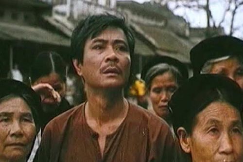 'Cây bạch đàn vô danh' và câu chuyện hậu trường xúc động