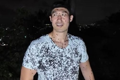 YouTuber Hàn mukbang 'bọ tình yêu' khiến người xem ghê rợn