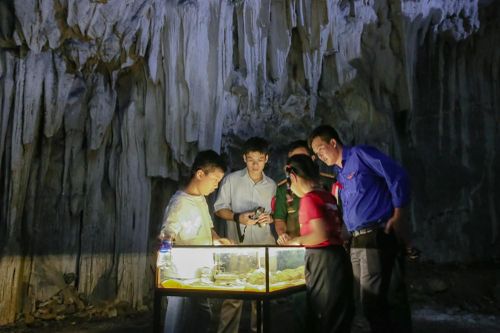 Hang Chỉ Huy - lớp học lịch sử giữa đại ngàn