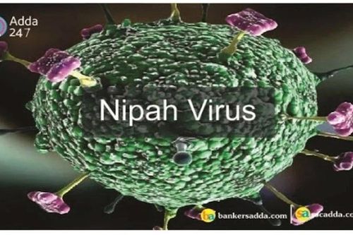 Ấn Độ xác nhận 2 trường hợp mới nhiễm virus Nipah