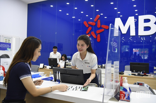 Tạo nền móng vững chắc trong tăng trưởng dài hạn