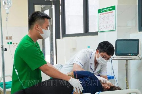 Cứu chữa thành công bệnh nhân bị Ngộ độc củ Ấu tẩu ở Phú Thọ