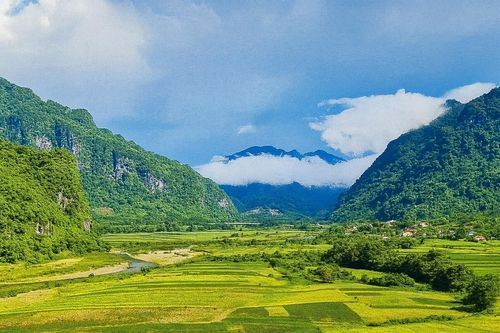 Mùa vàng trên rẻo cao