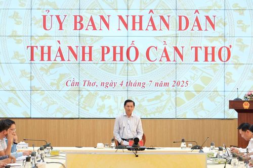 Phân công nhiệm vụ của Chủ tịch và Phó Chủ tịch UBND thành phố Cần Thơ