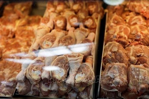 Nhiều quốc gia dỡ bỏ hạn chế nhập khẩu thịt gà Brazil